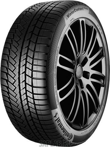 Купить CONTINENTAL 0355622 Шины Continental CONTIWINTERCONTACT TS850P 255/50R19 103T BS CONTISEAL