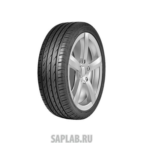 Купить DELINTE 6901532200095 Шины Delinte DH2 155/65 R14 75T