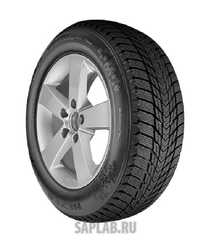 Купить ROADSTONE ROADS16123 Шины ROADSTONE WinGuard Ice Plus XL 245/45 R17 99 roads16123